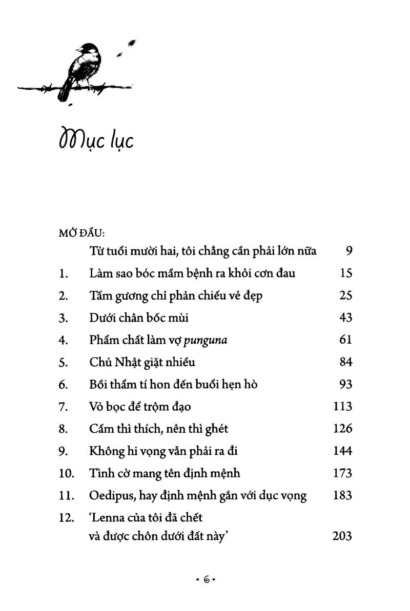 Món Quà Từ Cánh Chim