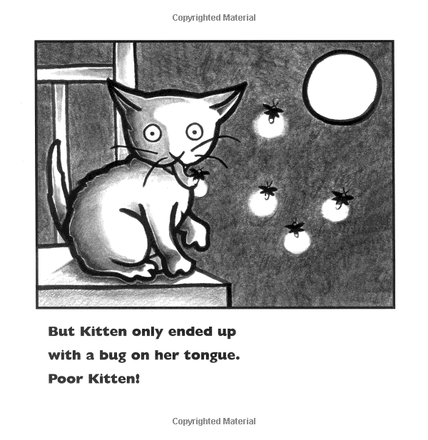 Kitten