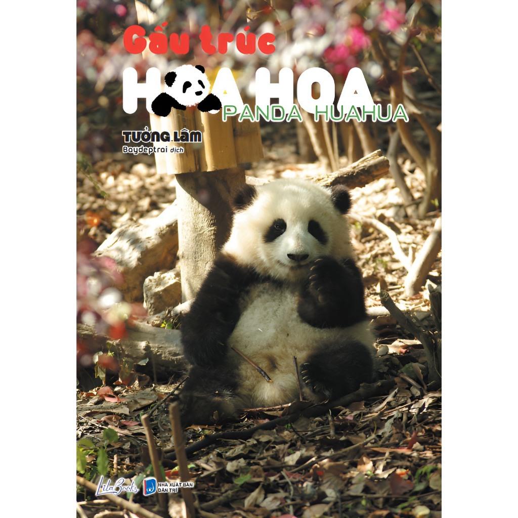 Gấu Trúc Hoa Hoa - Bản Quyền