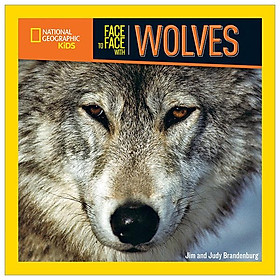 Face To Face With Wolves