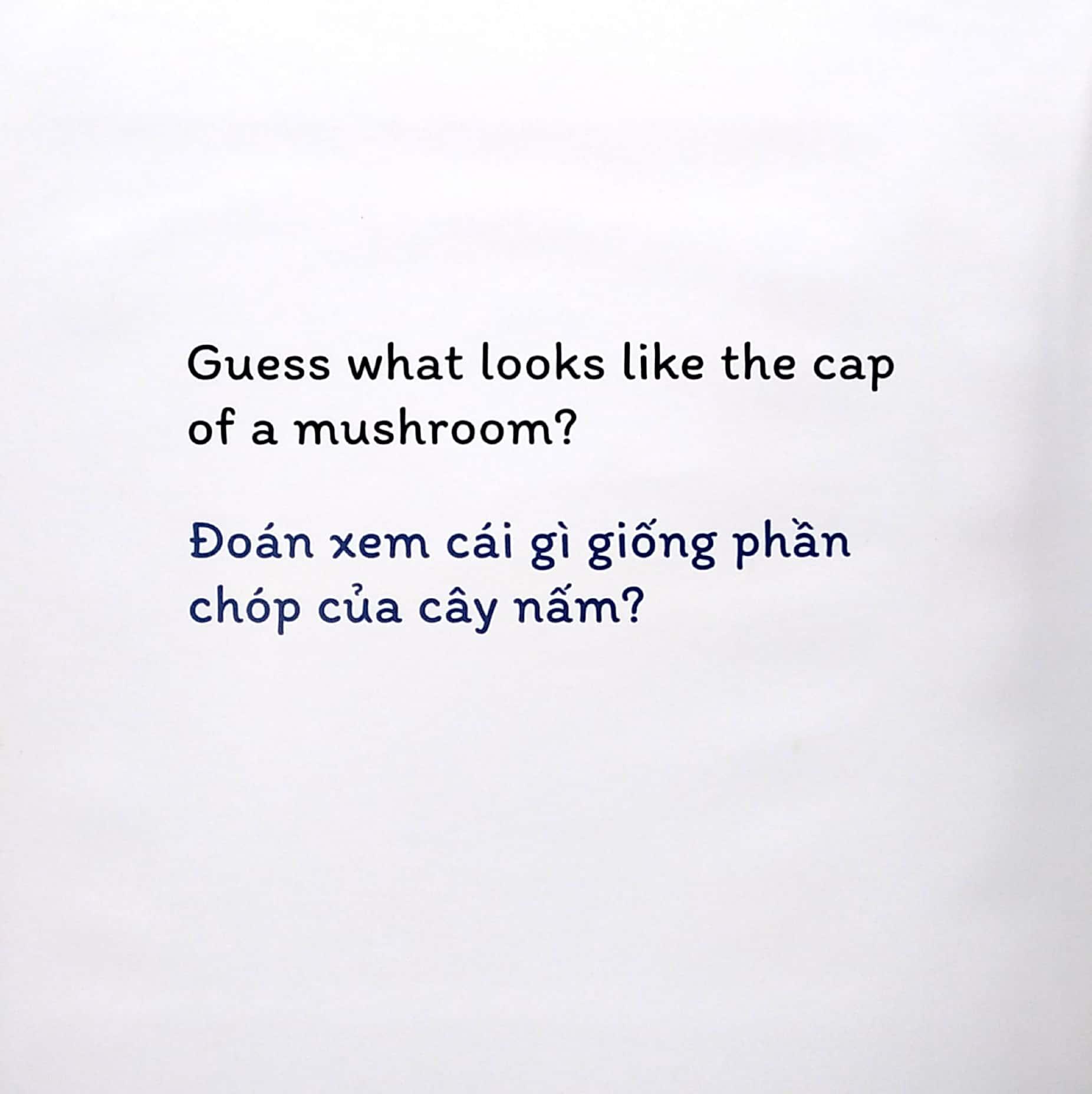Sách Đố Vui Lật Giở Song Ngữ- Đoán Xem Là Gì?