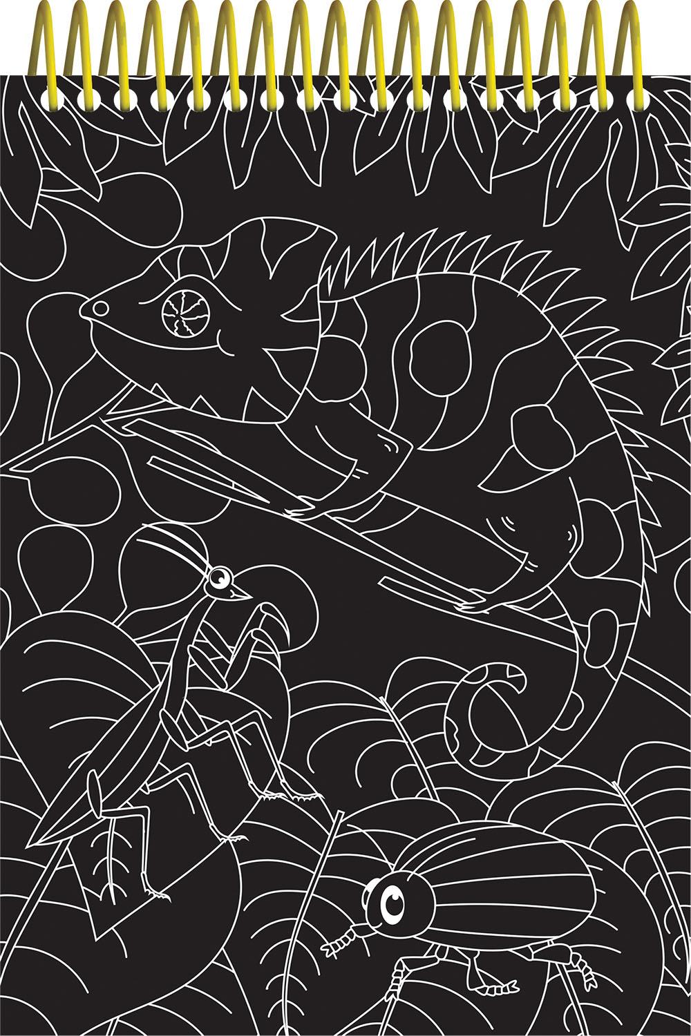 Scratch & Colour Animals