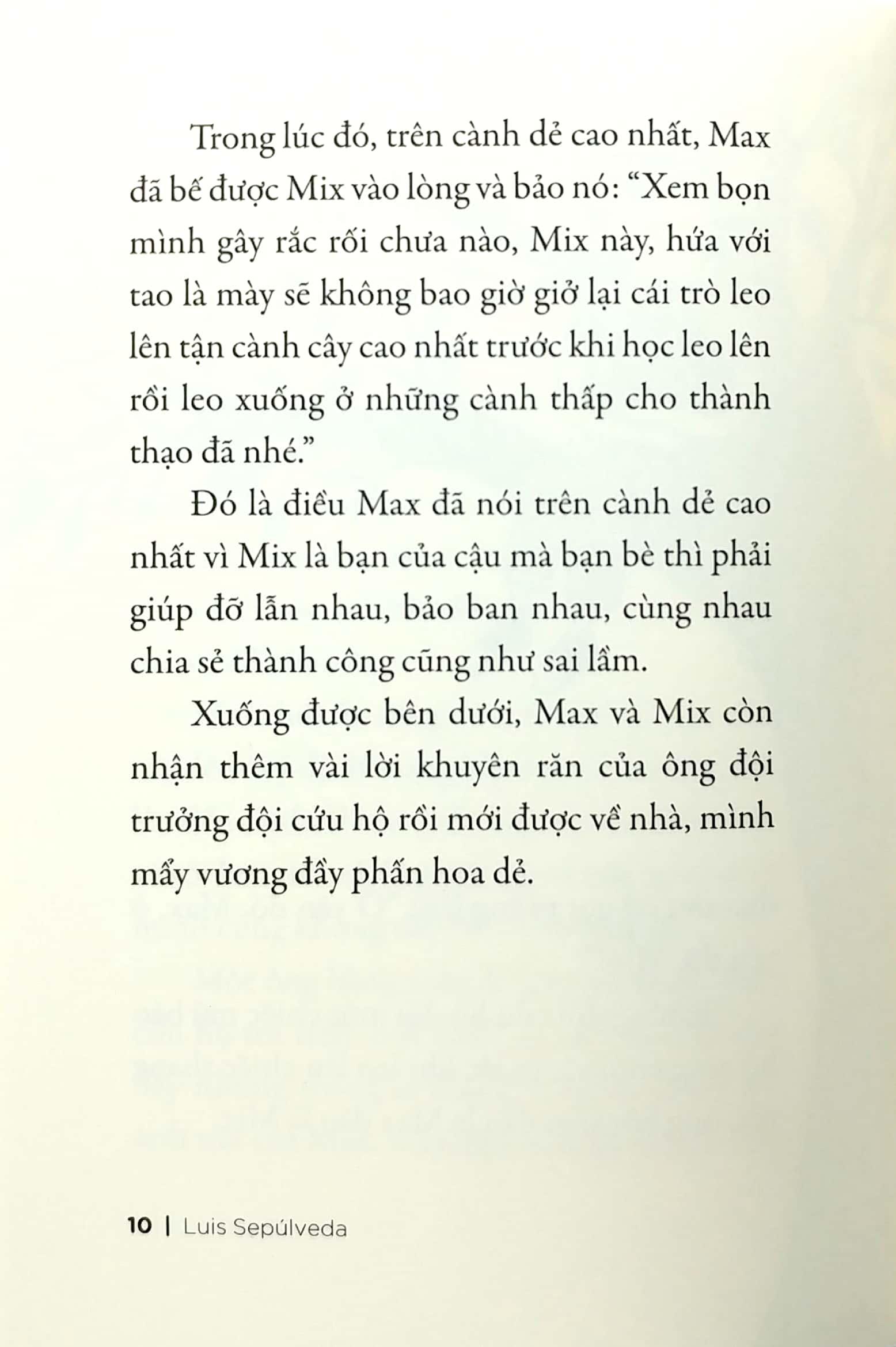 Chuyện Con Mèo Và Con Chuột Bạn Thân Của Nó - Tái Bản