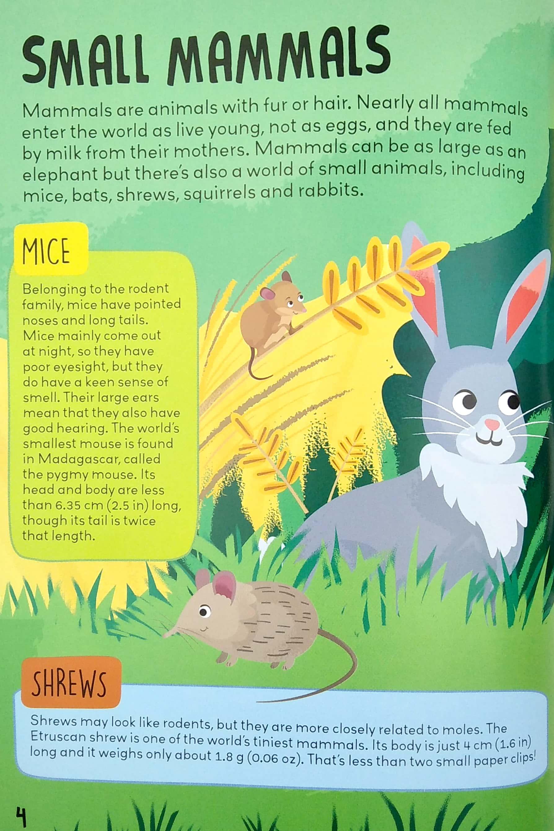 Know And Glow: Animals Sticker Activities