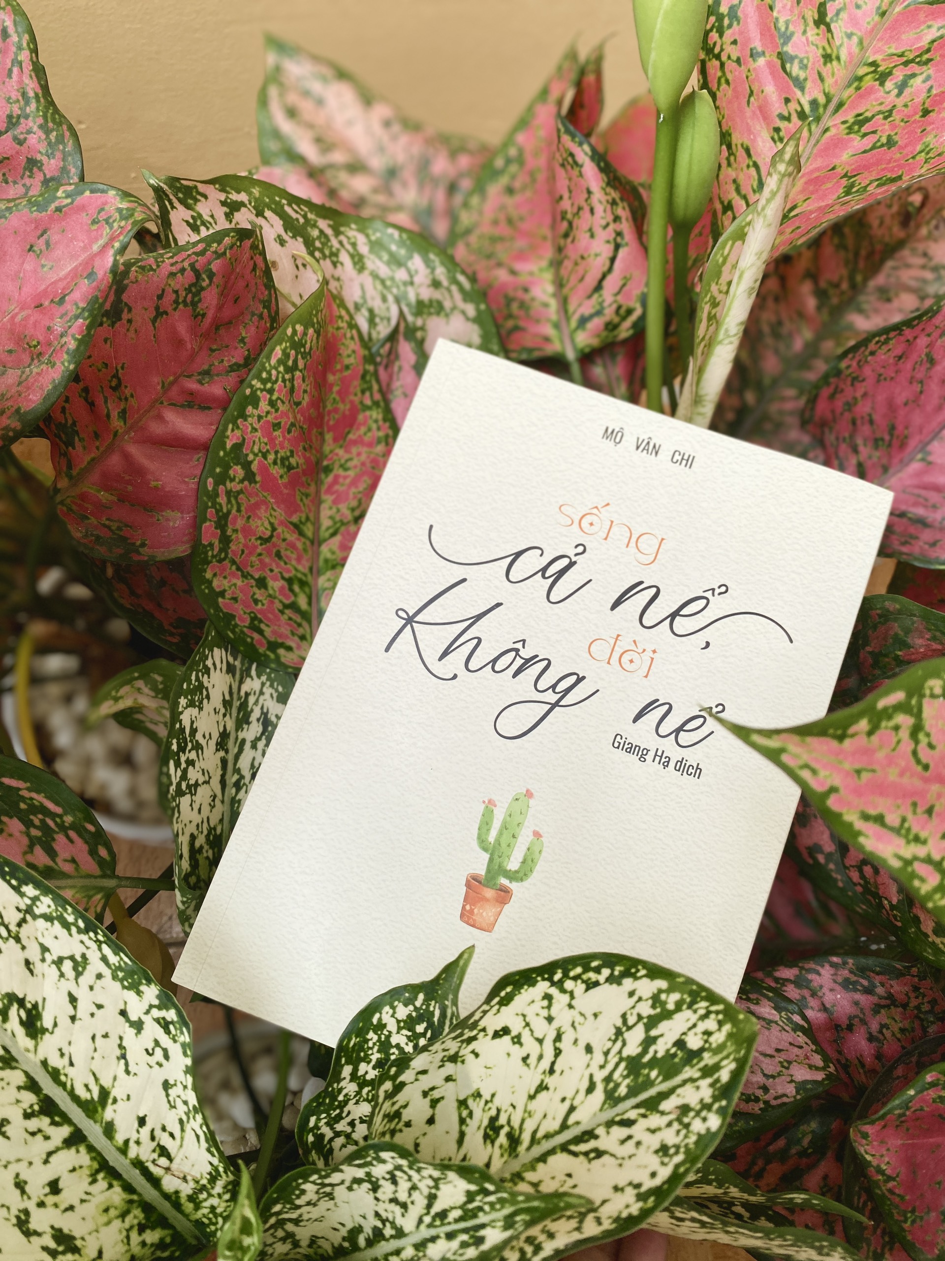 Sách - Sống cả nể, đời không nể