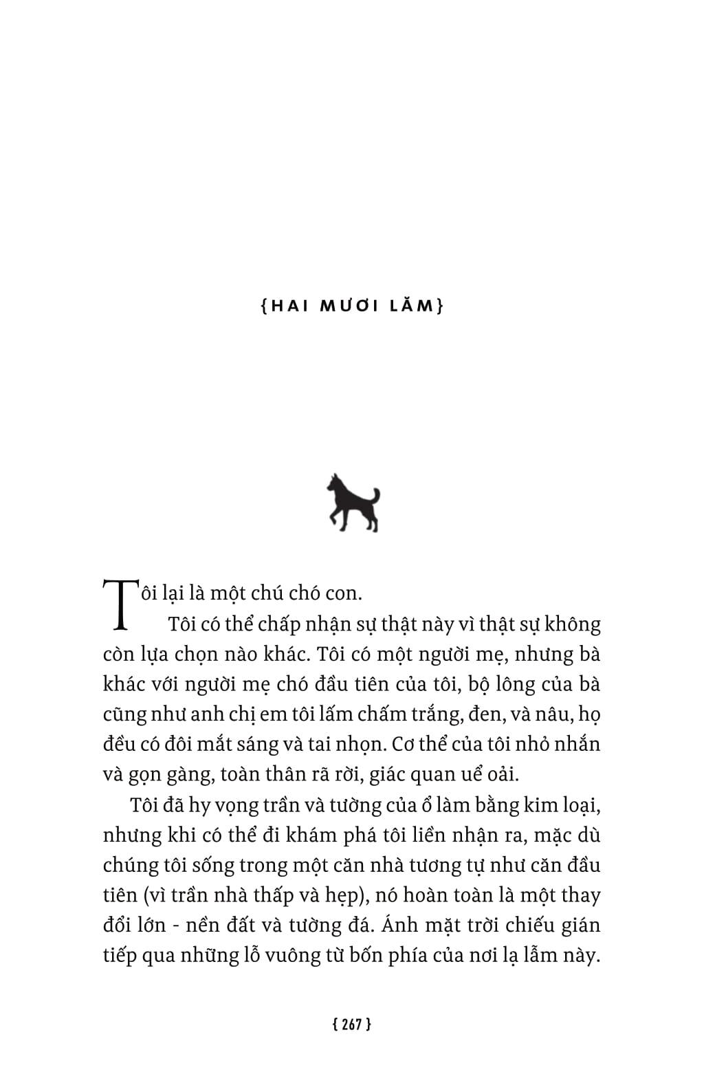 Lời Hứa Của Một Chú Chó - A Dog