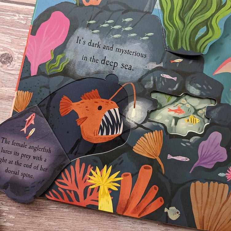 Nature Die-cut Book - Let