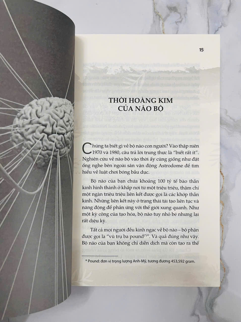 Bộ Não Siêu Phàm