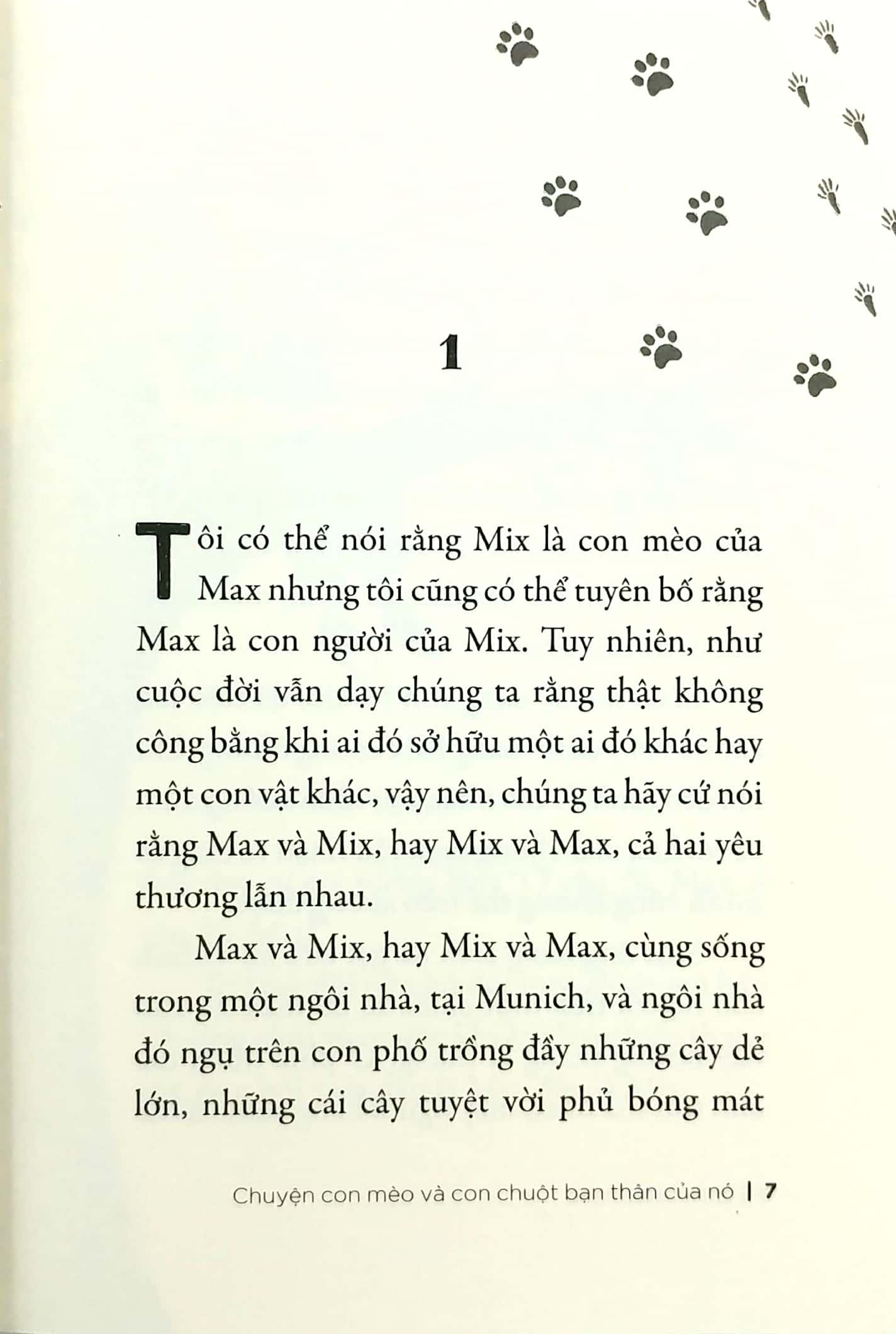 Chuyện Con Mèo Và Con Chuột Bạn Thân Của Nó - Tái Bản