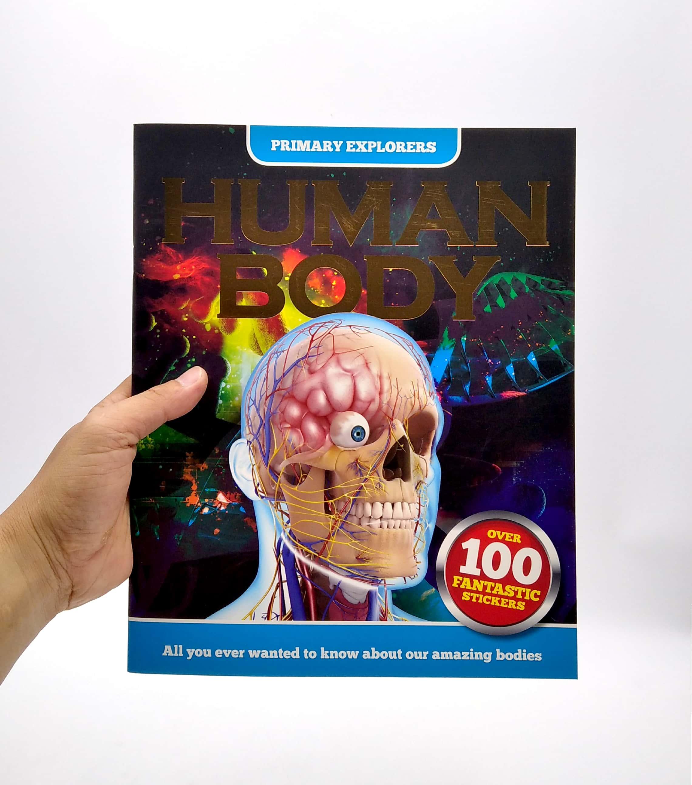 Primary Explorers: Human Body