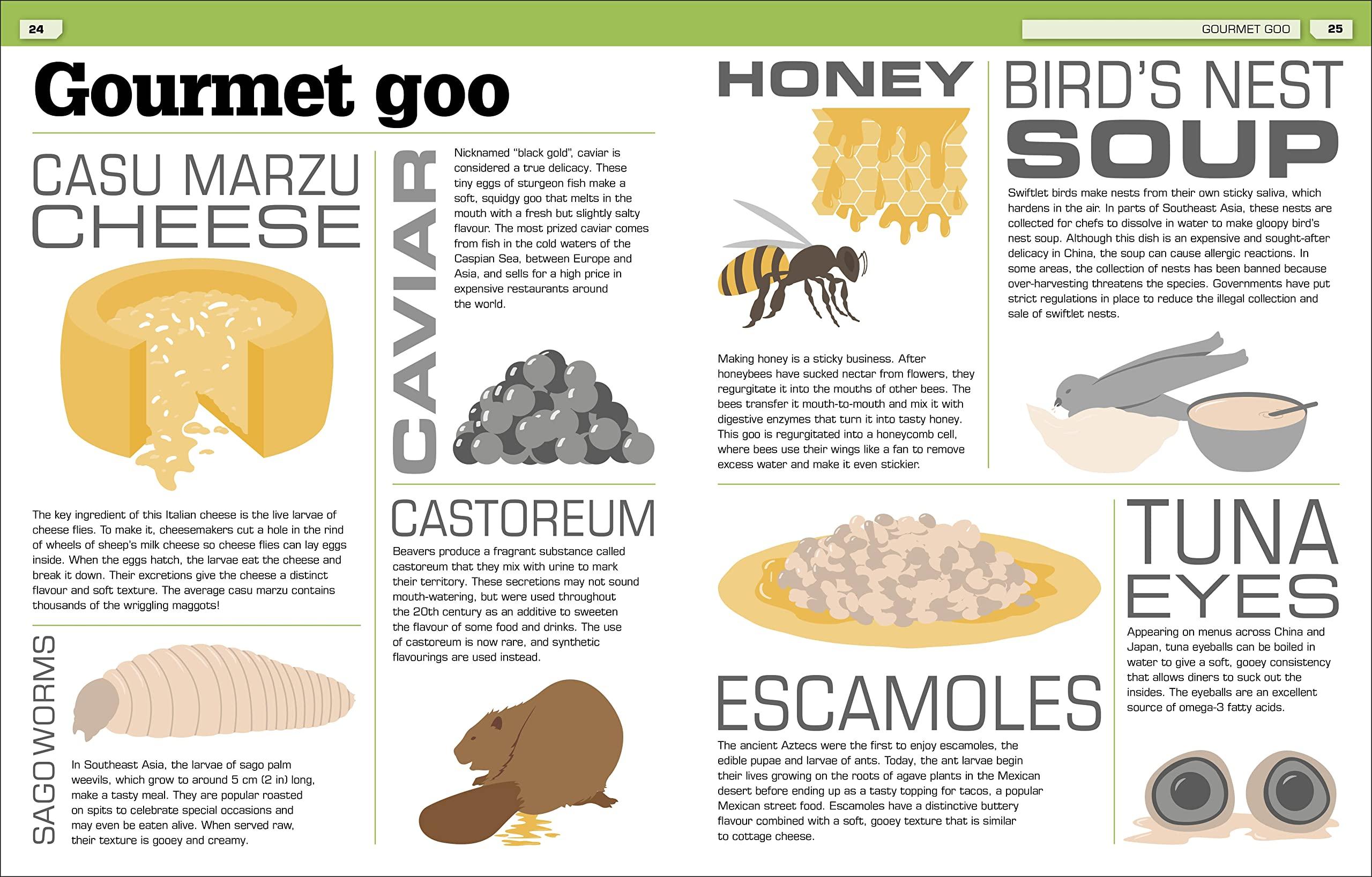 The Science Of Goo!: From Saliva And Slime To Frogspawn And Fungus