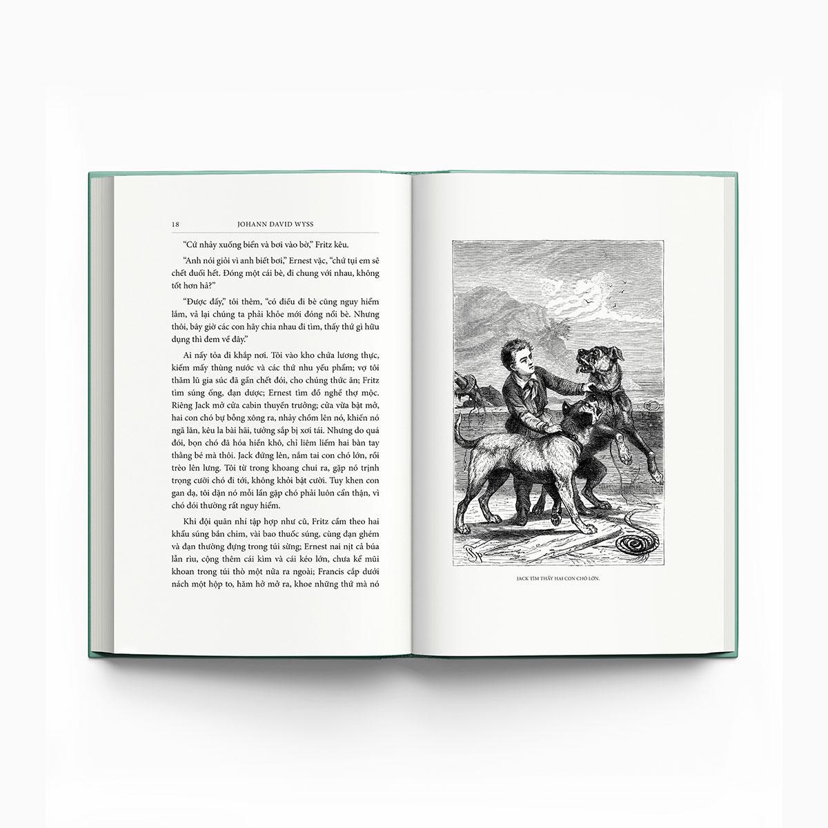 Sách - Gia Đình Robinson Thụy Sỹ - Bìa Vải