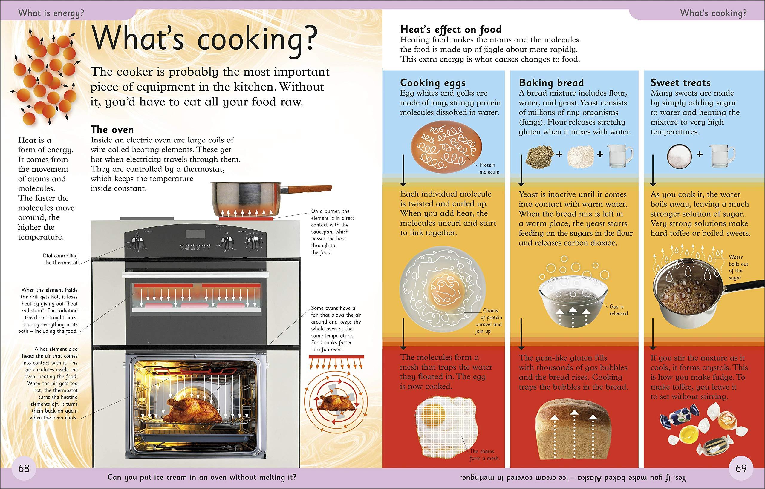 First How Things Work Encyclopedia: A First Reference Book For Children (DK First Reference)