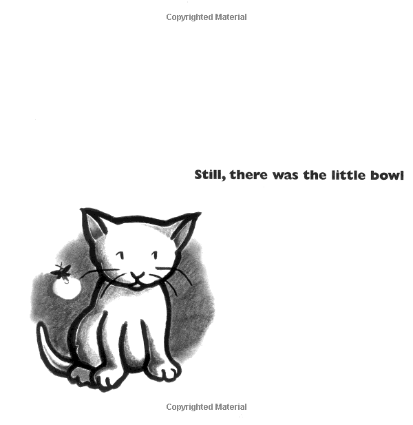 Kitten