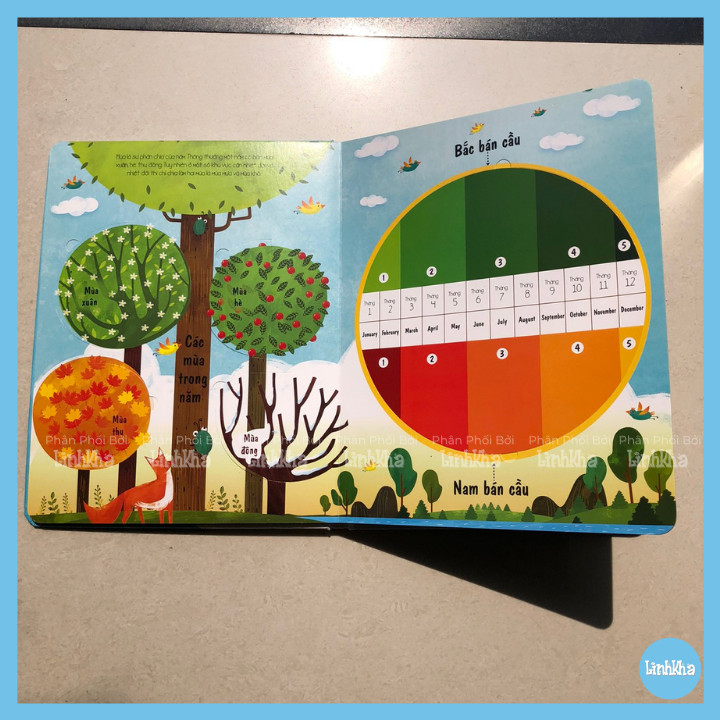Sách Tương Tác Lật Mở Khám Phá - Trái Đất của chúng ta - Sách Lift The Flap - Planet Earth- Nhà phát hành Đinh Tị
