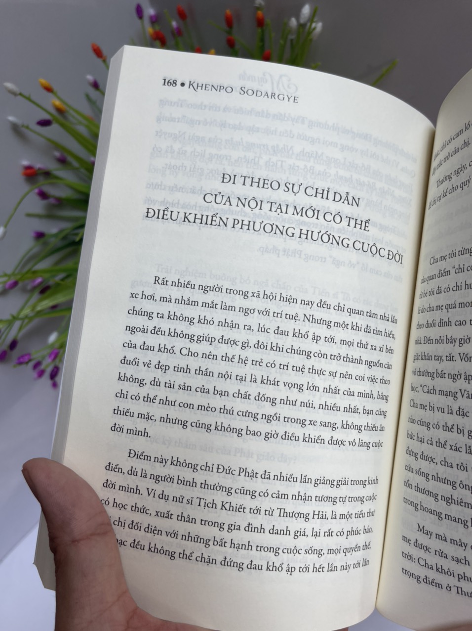 MAY MẮN CÓ NHỮNG PHIỀN NÃO - Khenpo Sodargye - Thuận Minh dịch - Achaubooks – NXB Lao Động