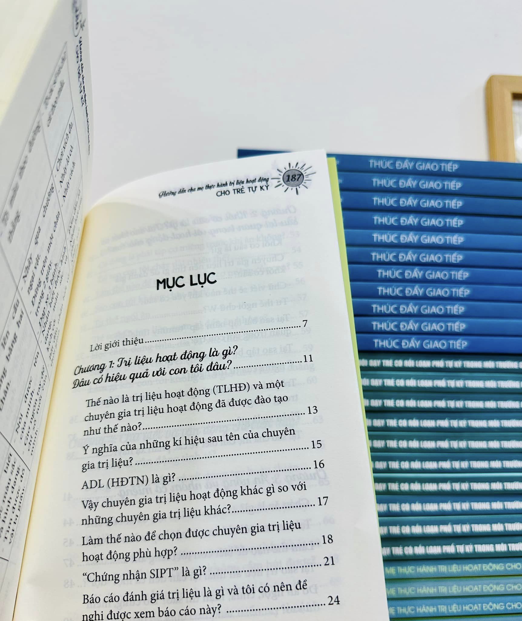 Hướng Dẫn Cha Mẹ Thực Hành Trị Liệu Hoạt Động Cho Trẻ Tự Kỷ