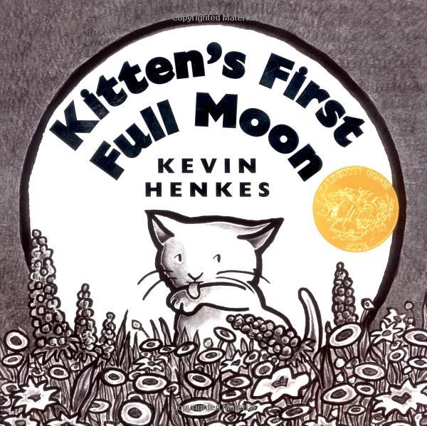 Kitten