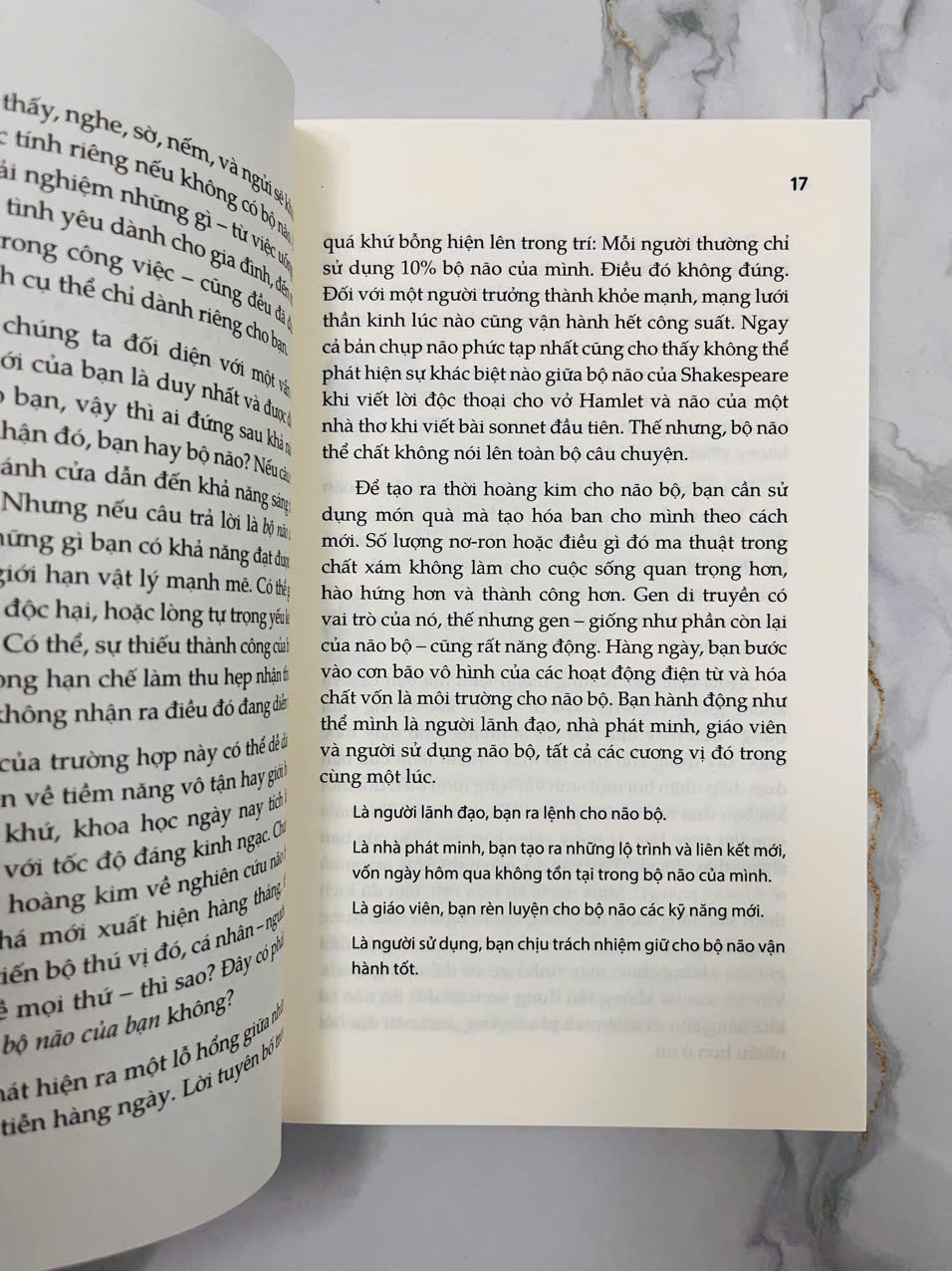 Bộ Não Siêu Phàm