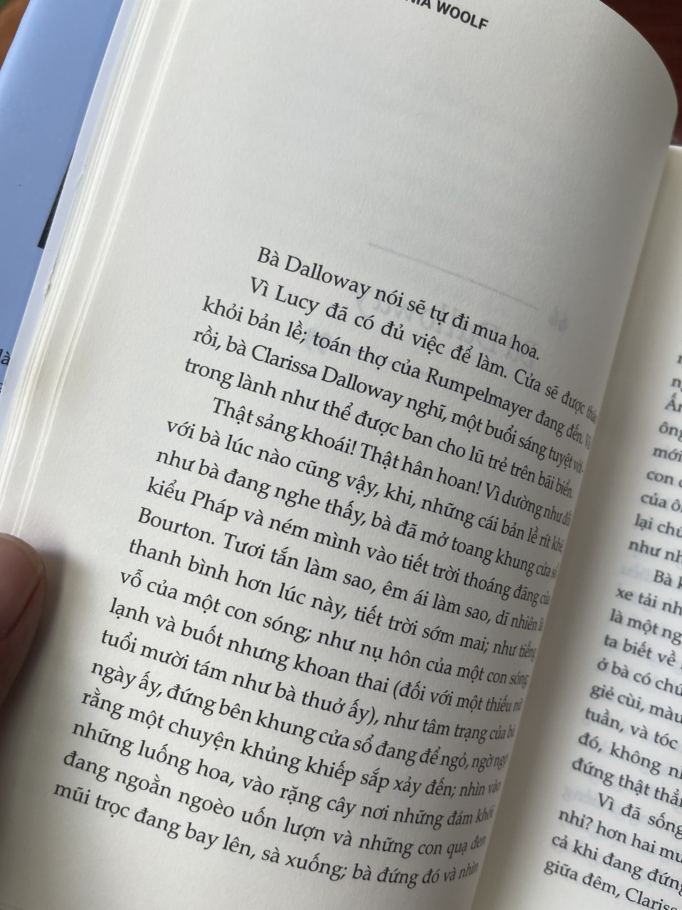 (Bìa cứng) BÀ DALLOWAY –Virgina Woolf – Trần Nguyên dịch – Rainbow – NXB Phụ Nữ Việt Nam