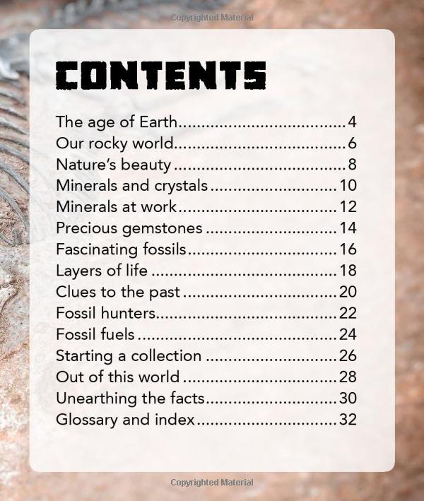 My Best Book Of Rocks And Fossils