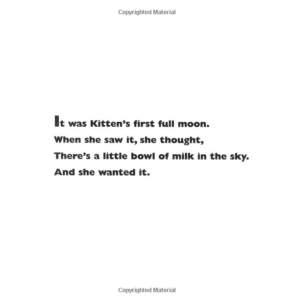 Kitten