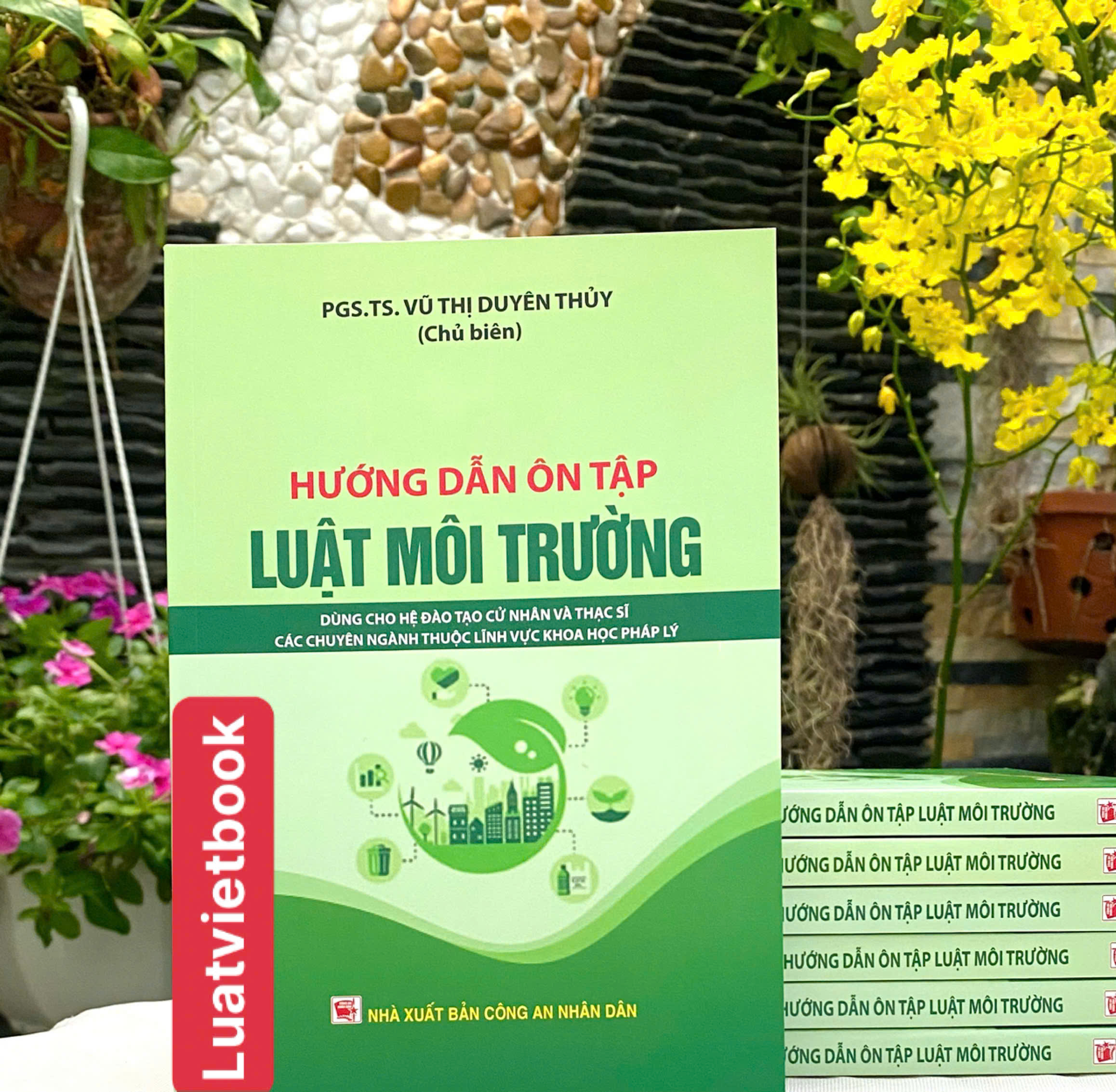 Hướng Dẫn Ôn Tập Luật Môi Trường